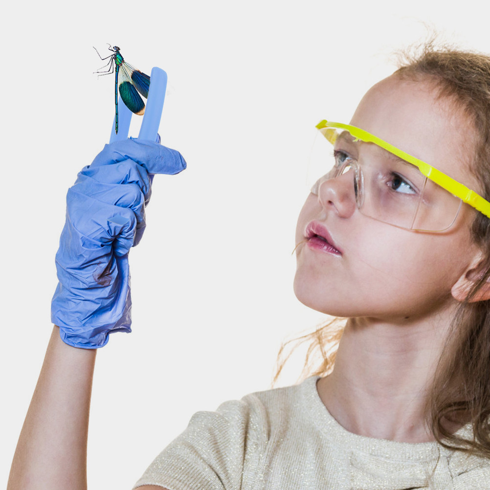 Kids Outdoor Adventure - Set di 24 Pinzette a Testa