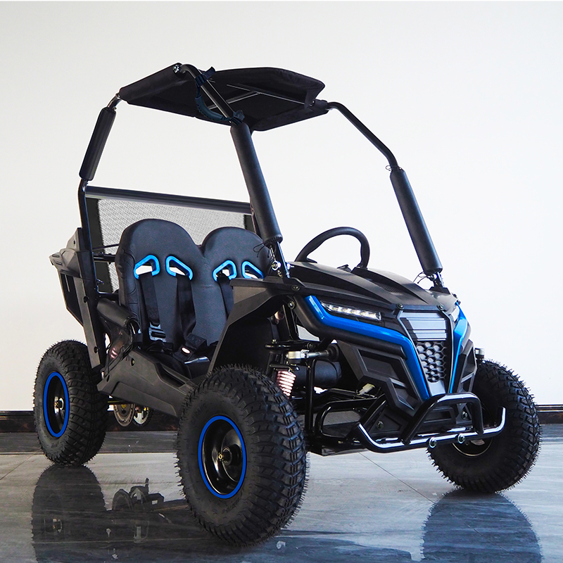 Ricambi e Accessori per Kart d - Kids Outdoor Karting recensione e prezzo