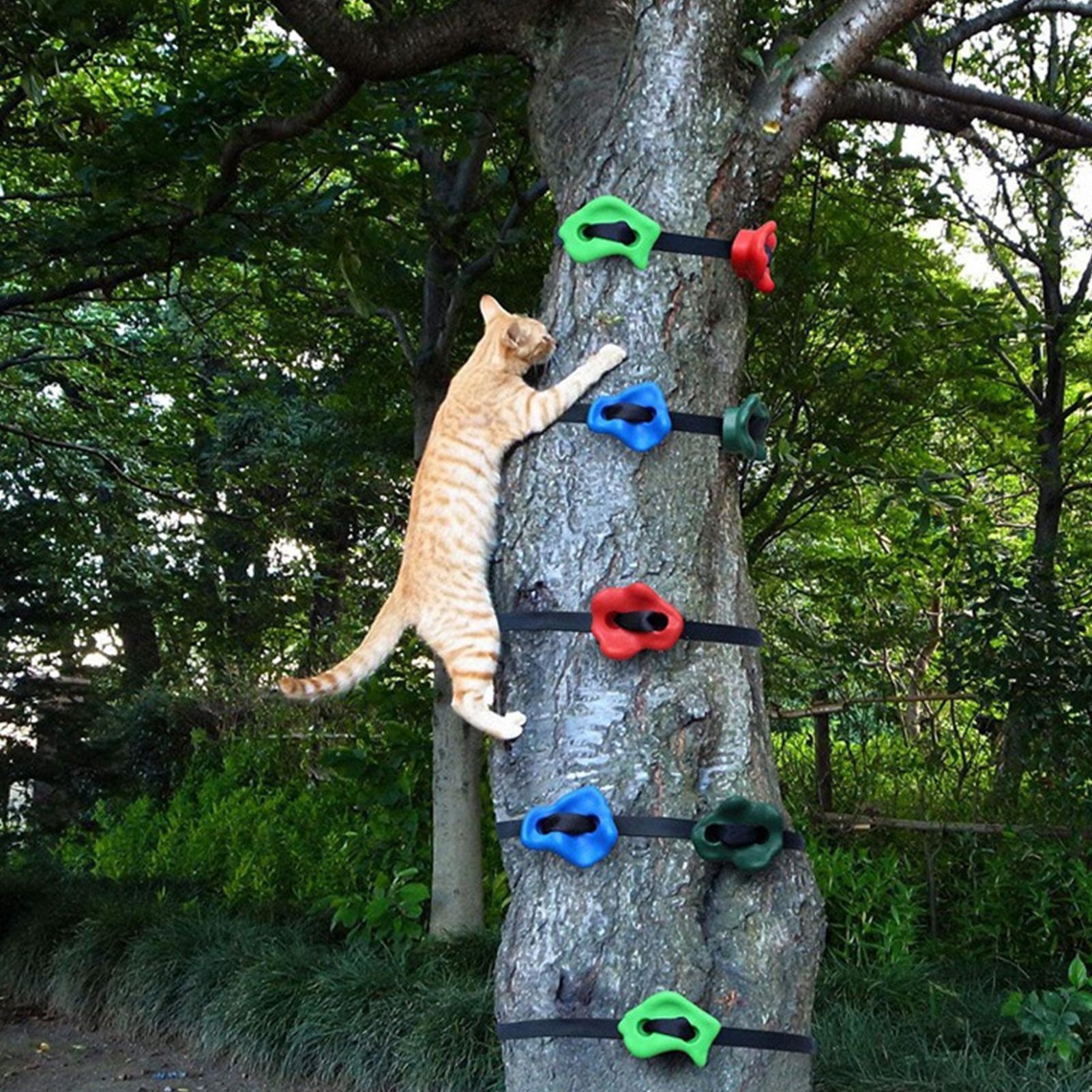 Attrezzatura da arrampicata pe - Kids Outdoor Obstacle Course Equipment recensione e prezzo