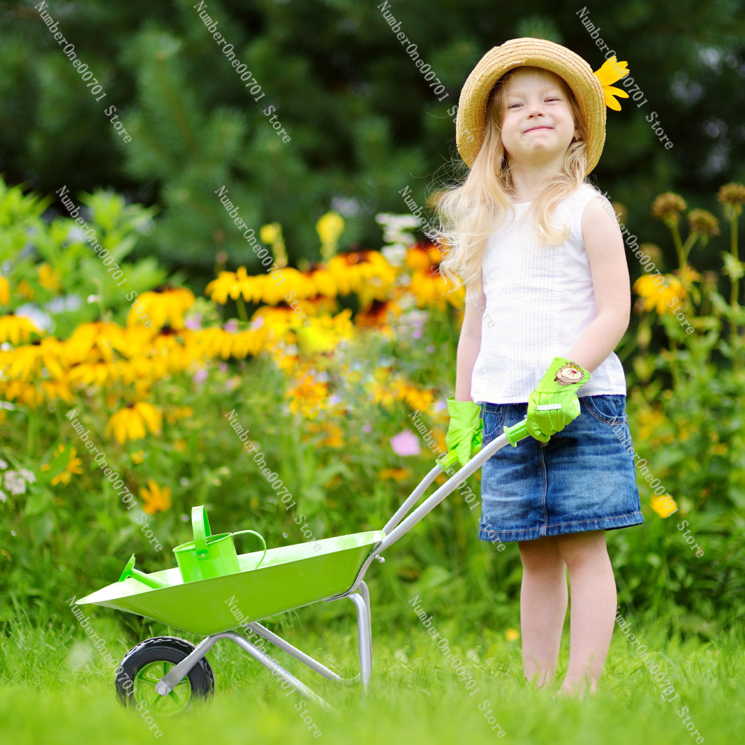 Carriola per Bambini da Estern - Kids Outdoor Activity Toys recensione e prezzo
